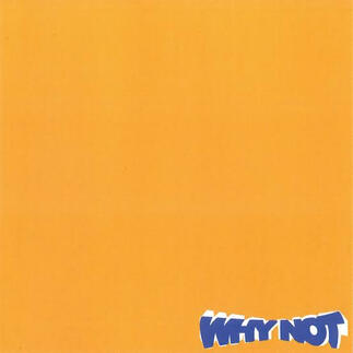 WHY NOT - WHY NOT (songwriter/instrumentalist/co-producer)